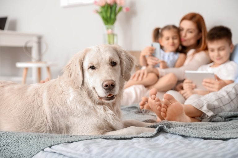 When Should I Replace My AC Unit? A Practical Guide From Pros Who Do It Every Day